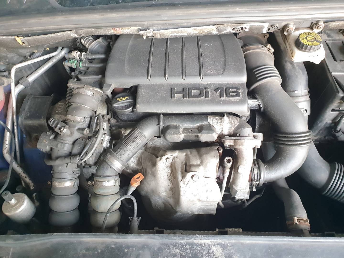 MOTOR COMPLETO - 9HX - PEUGEOT - 308 (T7)