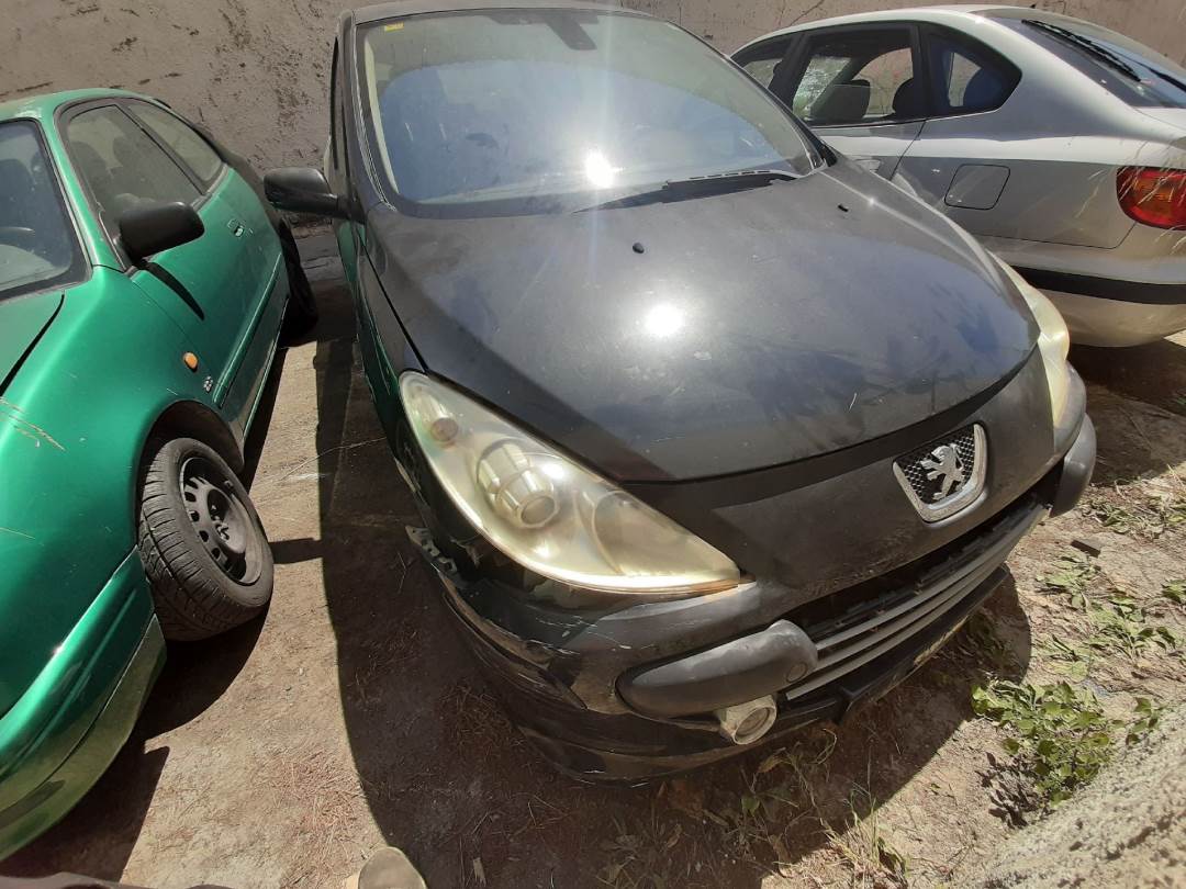 PEUGEOT 307 BERLINA (S2) (2005 - 2008)