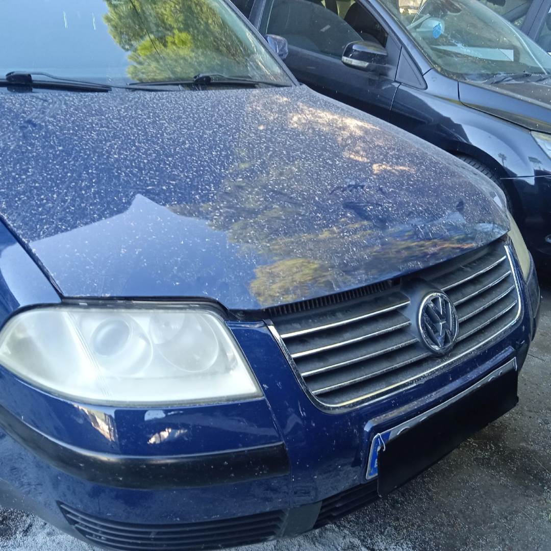 VOLKSWAGEN PASSAT BERLINA (3B3) (2000 - 2005)