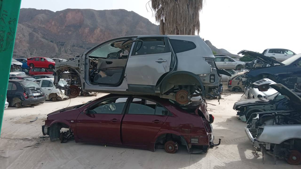 Imagen del vehículo NISSAN QASHQAI+2 (JJ10)