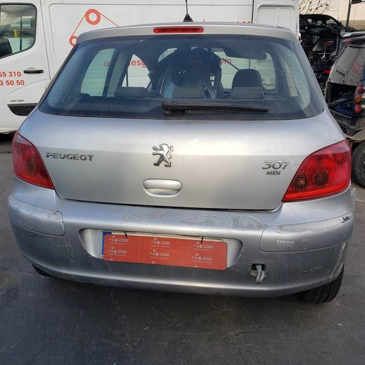 PEUGEOT 307 (S1) (2001 - 2005)