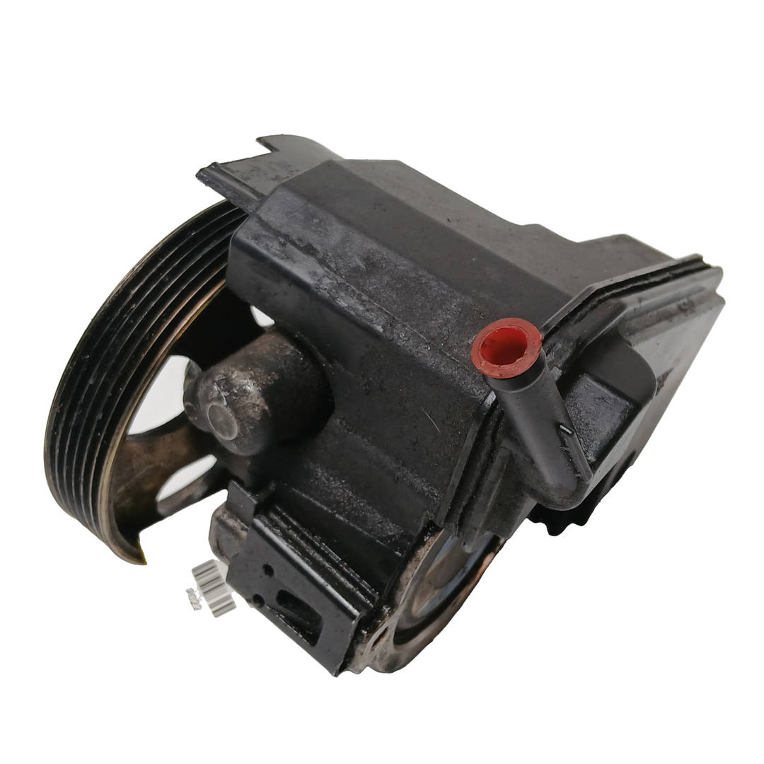 Foto 2 de Bomba Direccion Peugeot 206 Berlina (1998–2010)