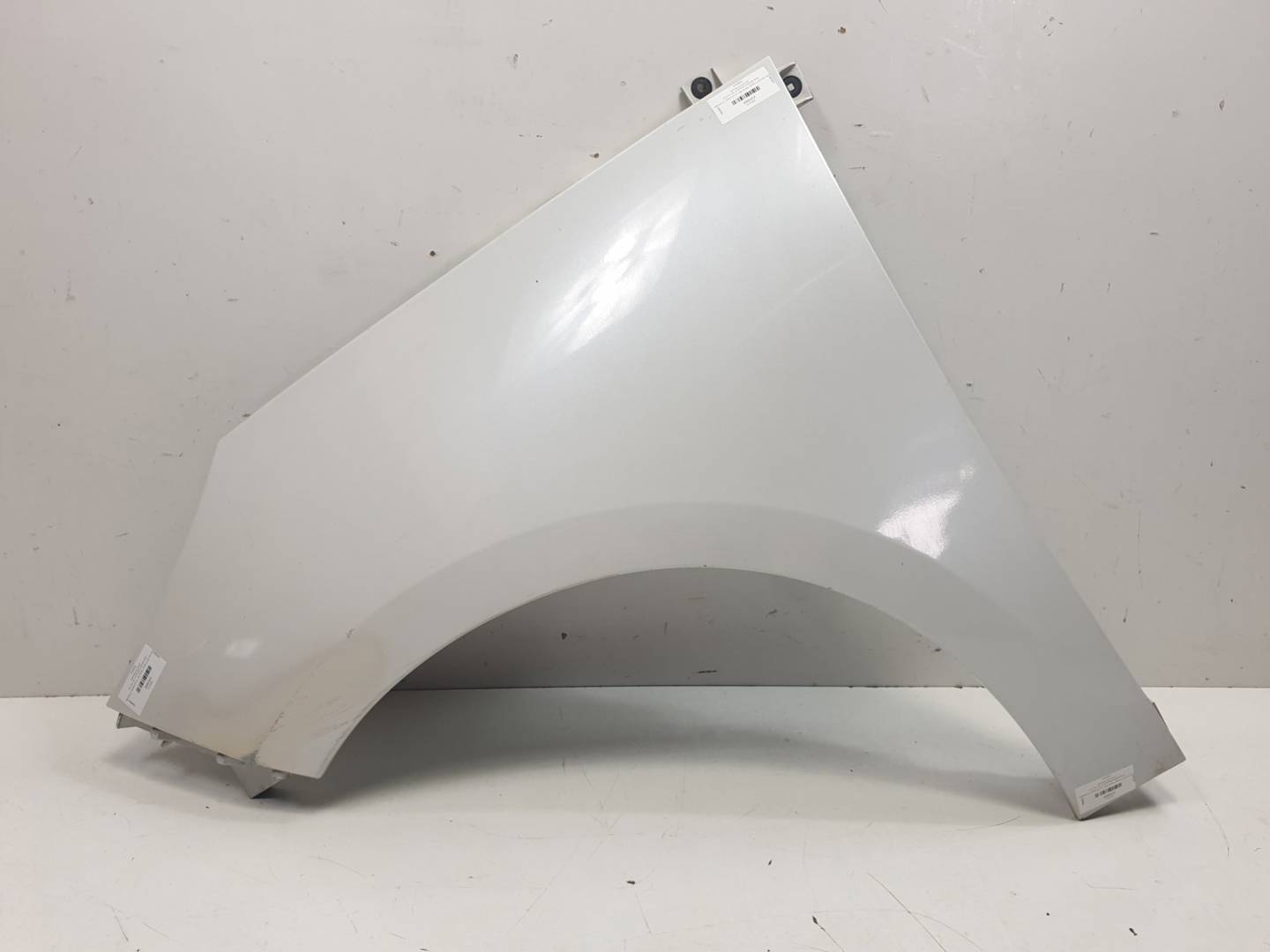 Kotflügel vorne links - RENAULT - SCENIC III (JZ)
