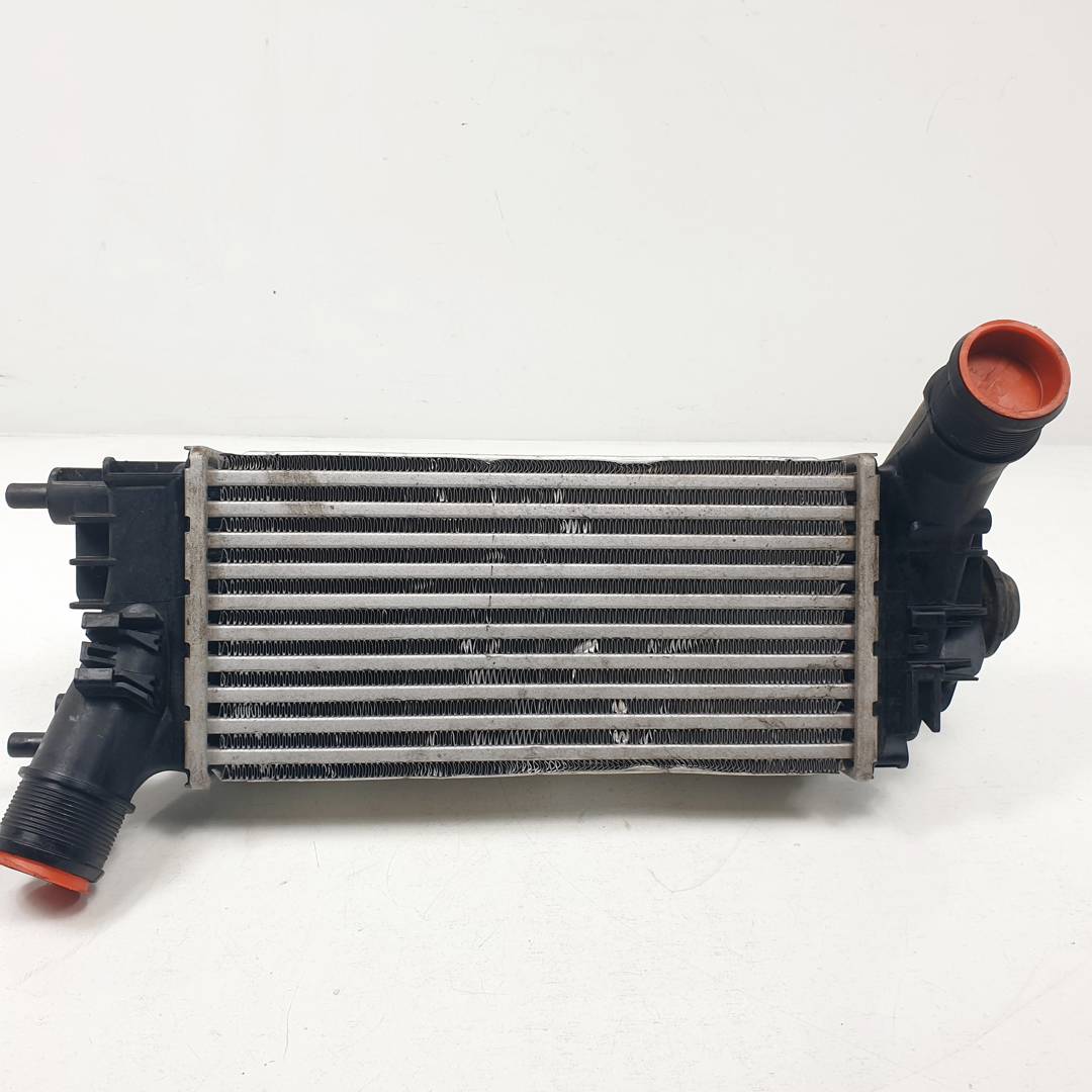 INTERCOOLER - L1BG6D624AB - FORD - PUMA