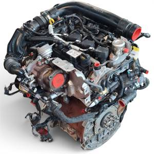 MOTOR COMPLETO M1JU FORD ECOSPORT (CR6) Autodesguaces Alicante