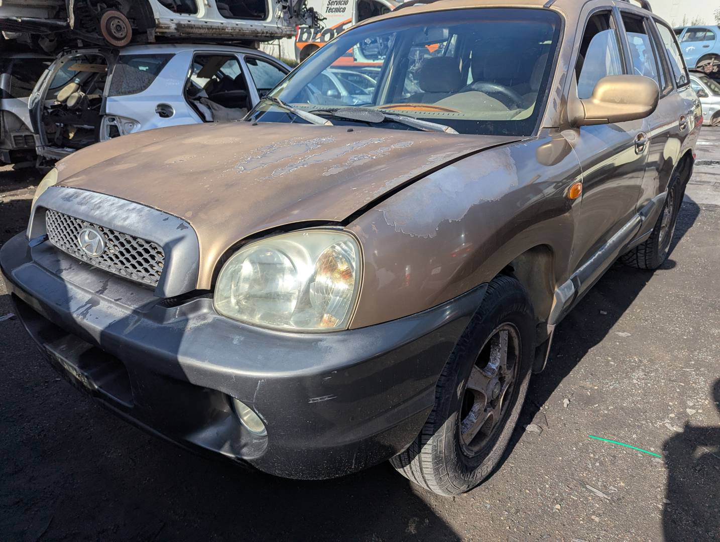 HYUNDAI SANTA FE (SM) (2000 - 2006)