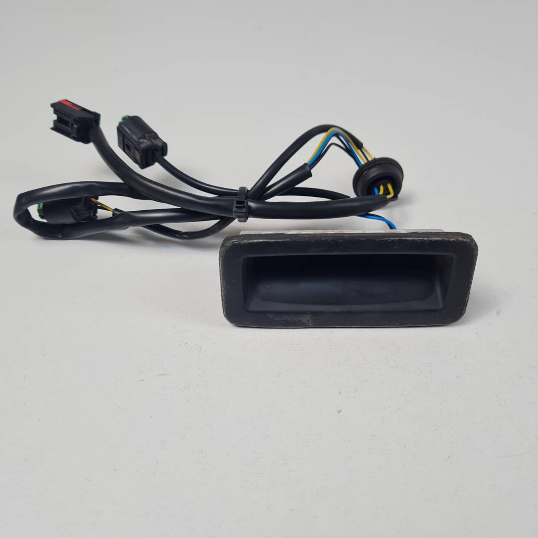 Poignée extérieure de hayon - YUZ500020 - LAND ROVER - RANGE ROVER SPORT (L320)