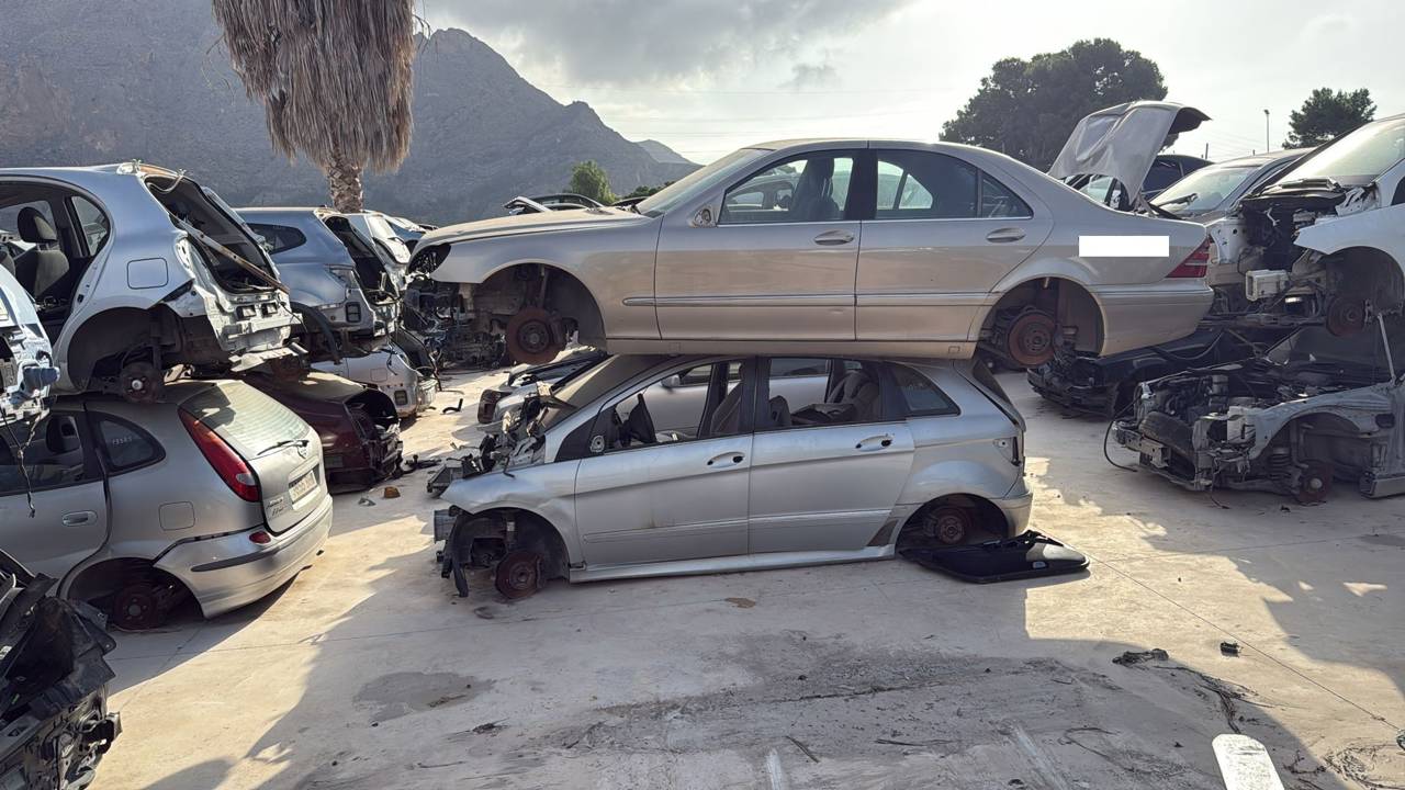 Imagen del vehículo MERCEDES-BENZ CLASE B (W245)