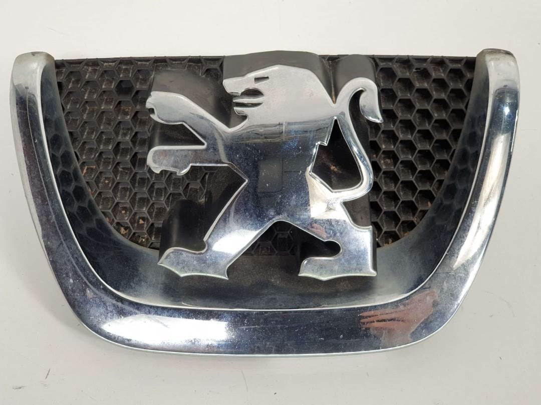 REJILLA DELANTERA - 303002001 - PEUGEOT - 5008 (T87)