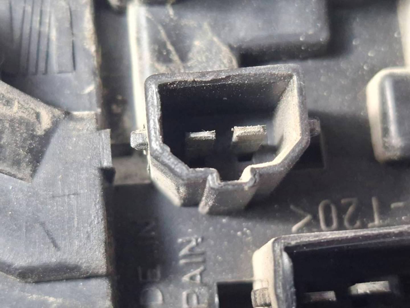 Foto 6 de Piloto Trasero Izquierdo Seat Leon (1m1) (1999–2006)