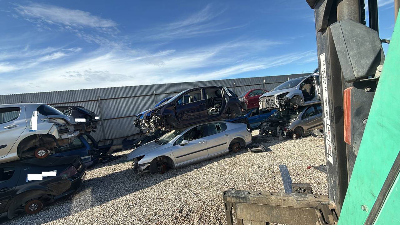 Imagen del vehículo PEUGEOT 407