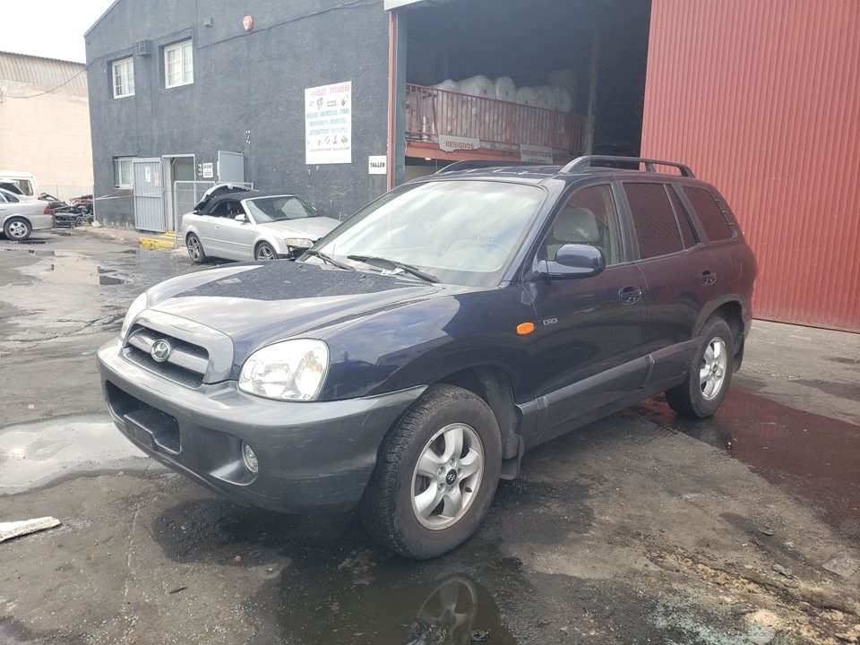 HYUNDAI SANTA FE (SM) (2000 - 2006)