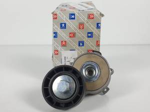 TENSOR CORREA AUXILIAR TF077F PEUGEOT 207 Autodesguaces Alicante