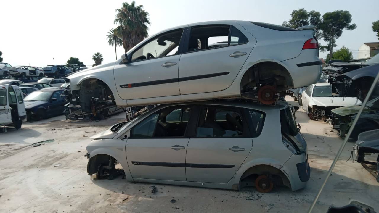 Imagen del vehículo RENAULT LAGUNA II (BG0)