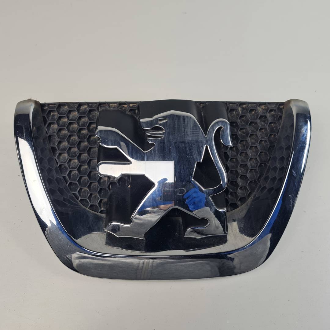 REJILLA DELANTERA - 303002001 - PEUGEOT - 5008 (T87)