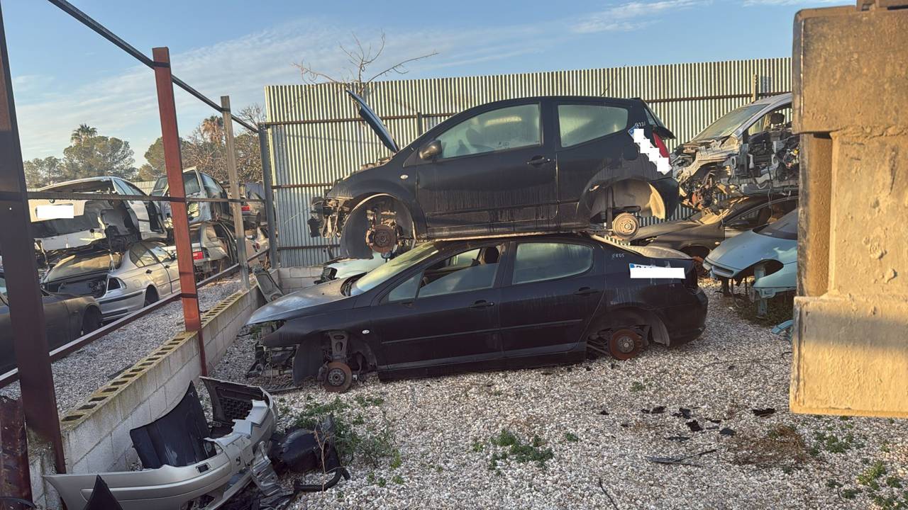Imagen del vehículo PEUGEOT 407