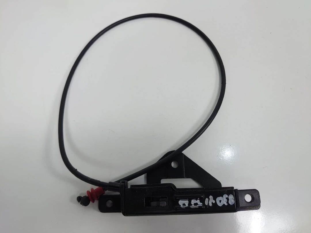 CERRADURA MALETERO / PORTON - 51248408964 - BMW - X5 (E53)