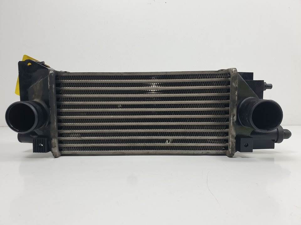 INTERCOOLER - LAND ROVER - FREELANDER (LN)