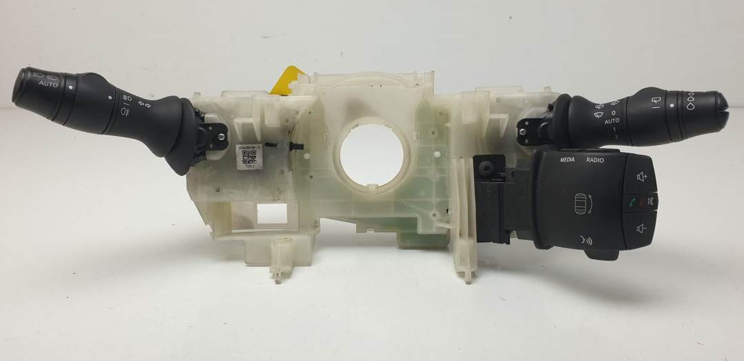 MANDO LUCES - 255670019R - RENAULT - SCENIC III (JZ)