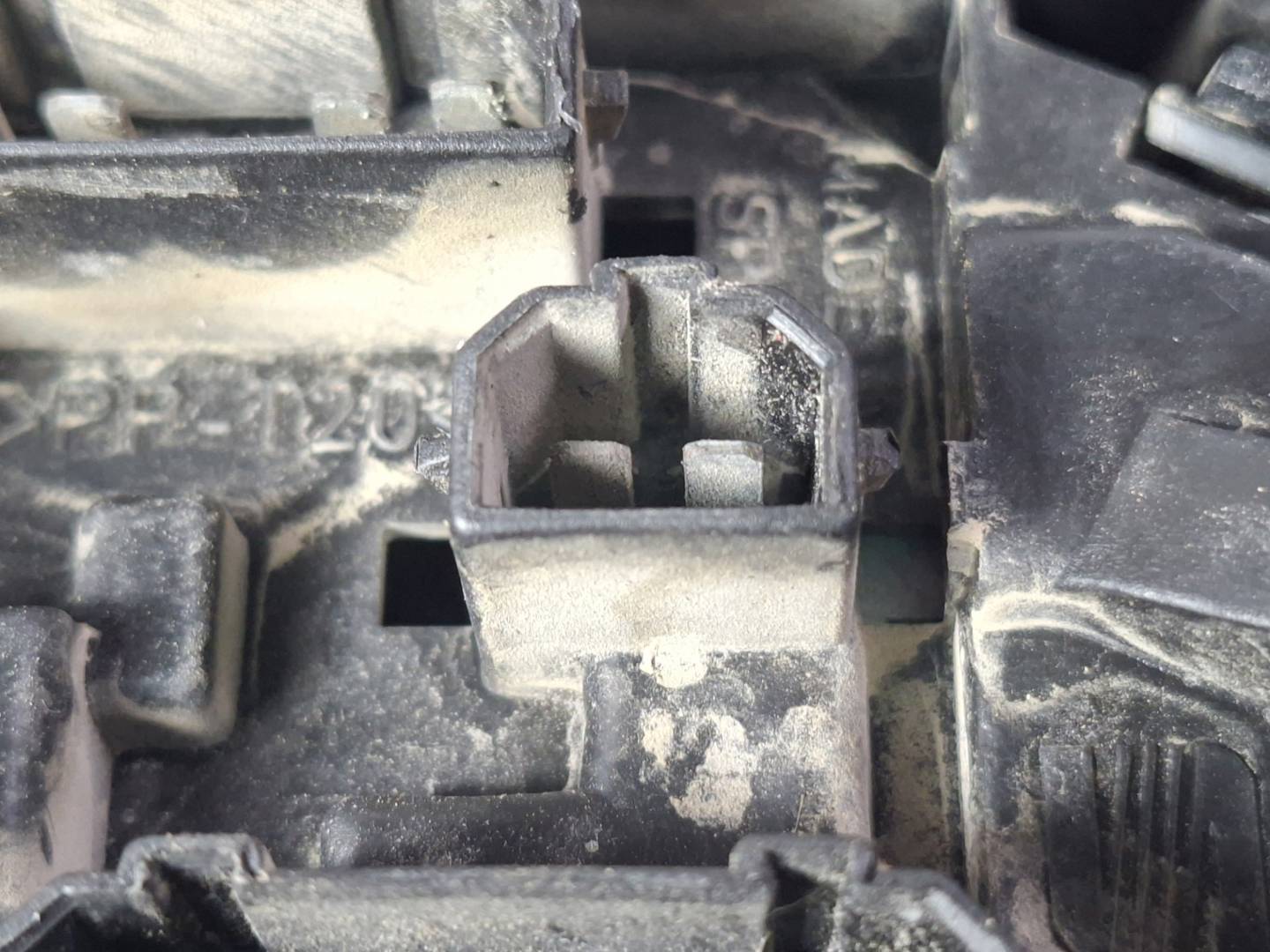 Foto 5 de Piloto Trasero Izquierdo Seat Toledo (1m2) (1999–2004)