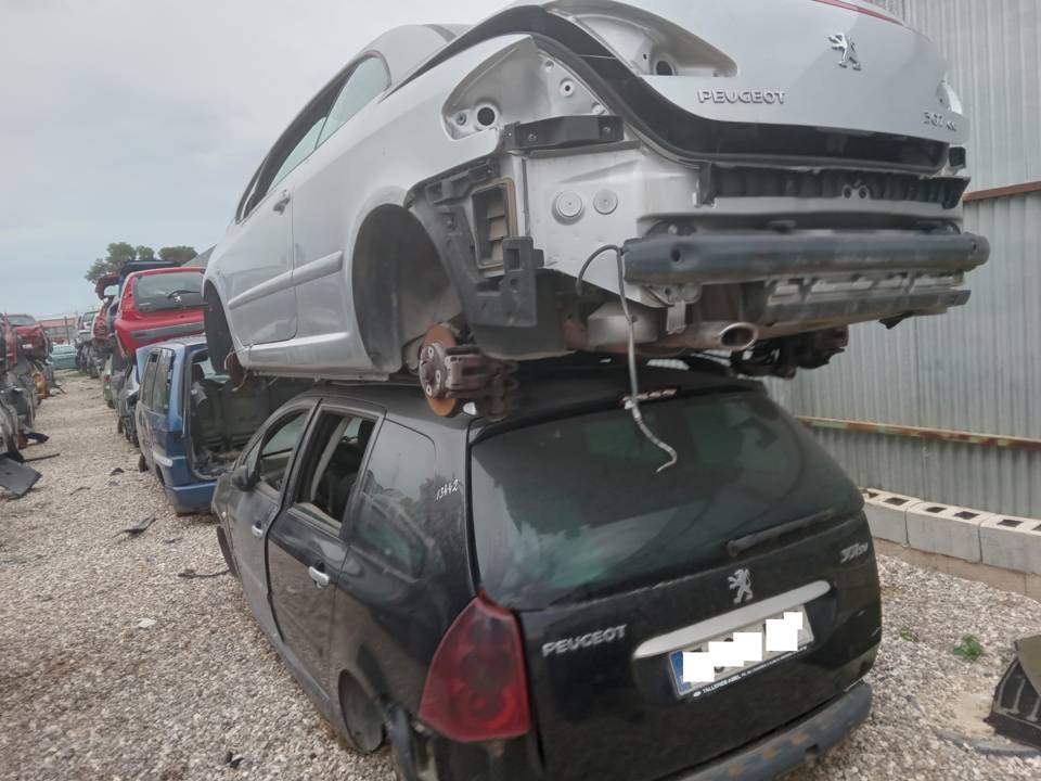 Imagen del vehículo PEUGEOT 307 BREAK / SW (S1)