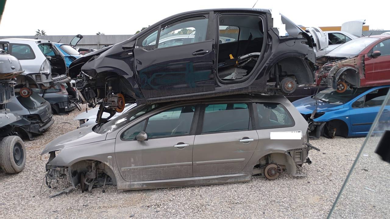 Imagen del vehículo PEUGEOT 307 BREAK / SW (S1)