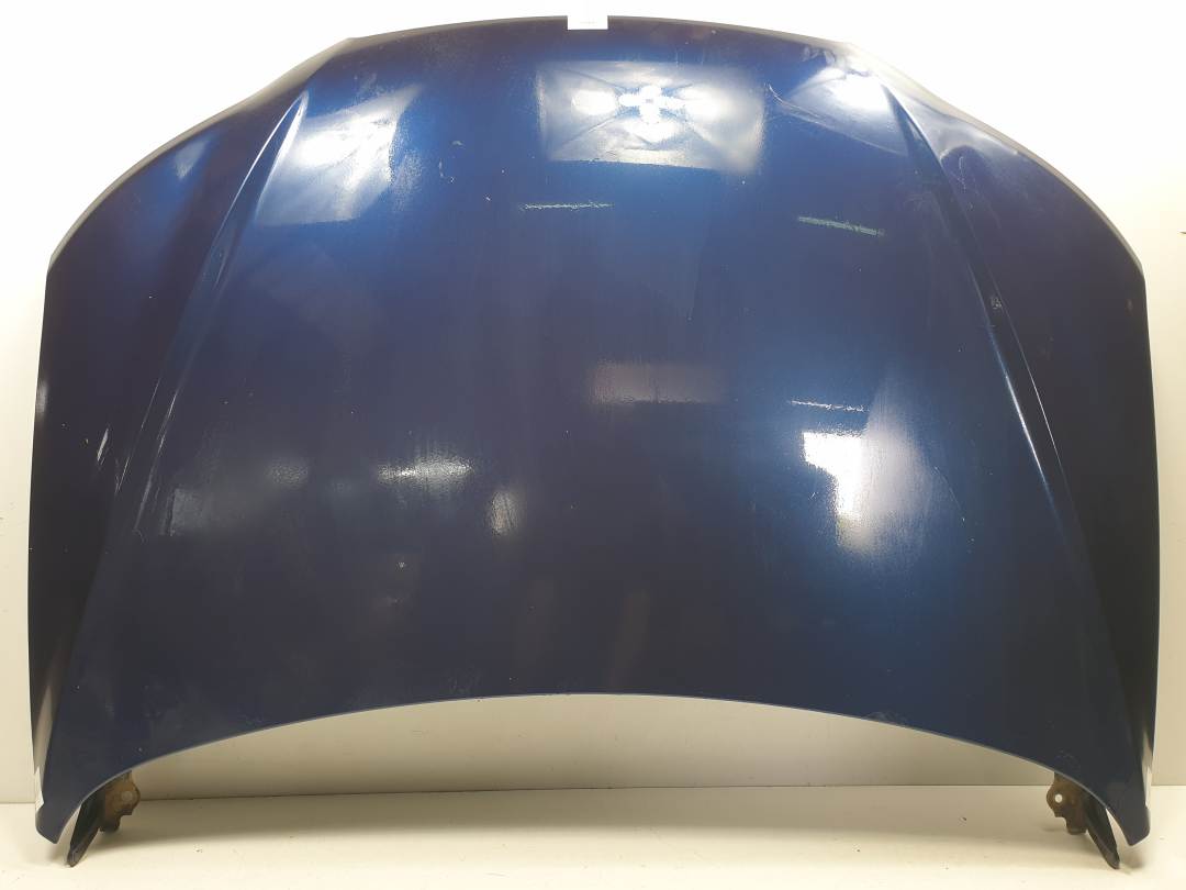 CAPOT - HYUNDAI - SANTA FE (BM)