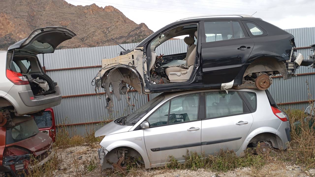 Imagen del vehículo RENAULT SCENIC II