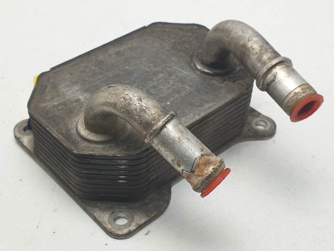 ENFRIADOR ACEITE MOTOR - TN2439B - FORD - FOCUS C-MAX (CAP)