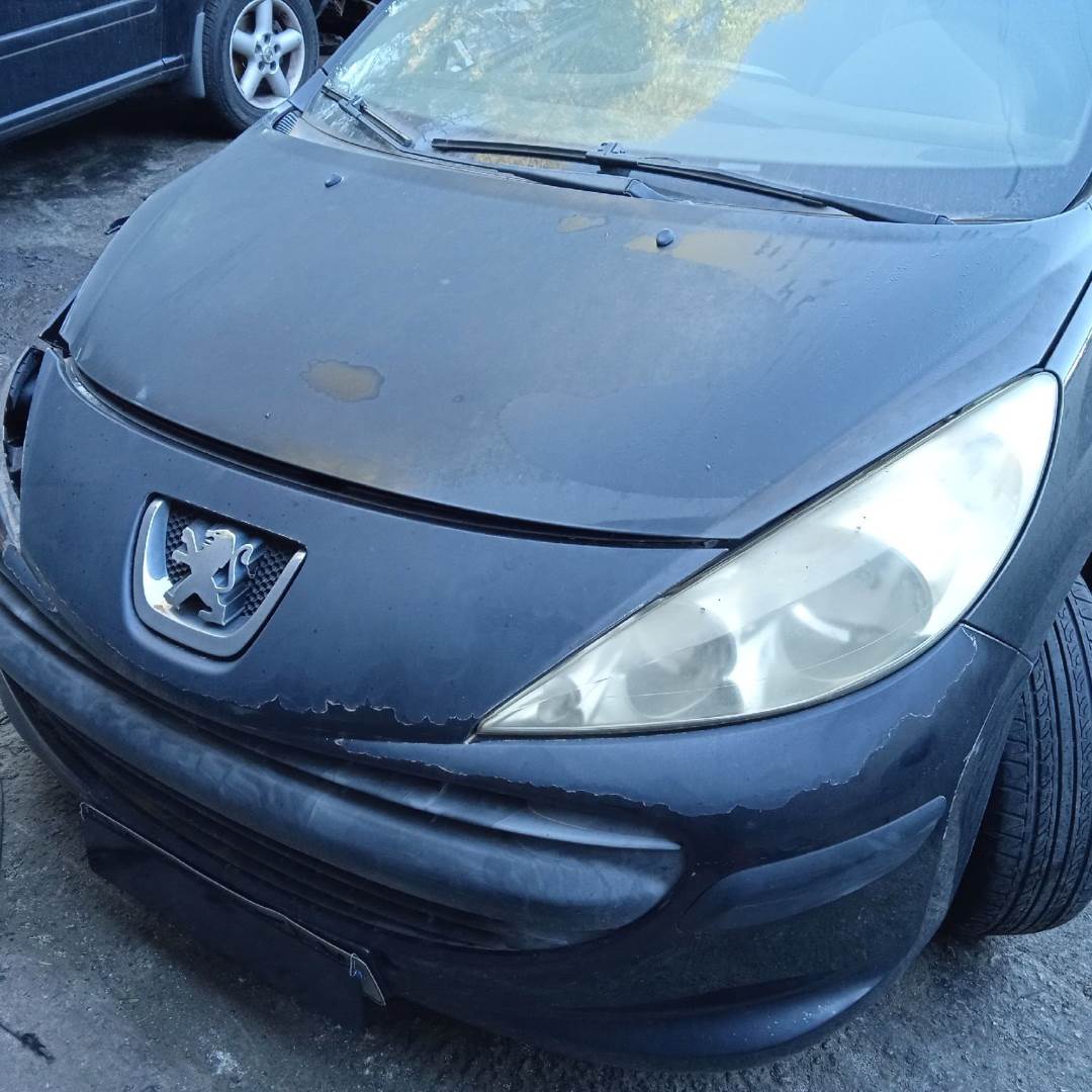 PEUGEOT 207 (2006 - 2012)