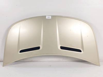 CAPOT SMART FORFOUR (W454) Autodesguaces Alicante