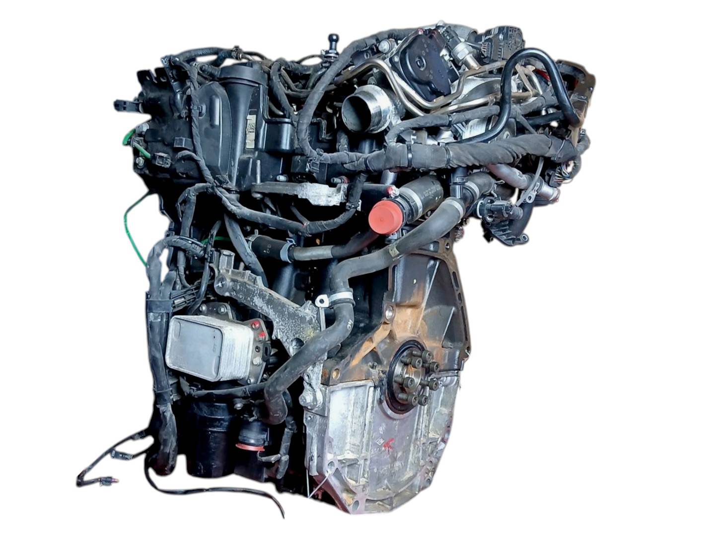 Motor Completo Renault Kangoo (f/kc0) (2003–2010)