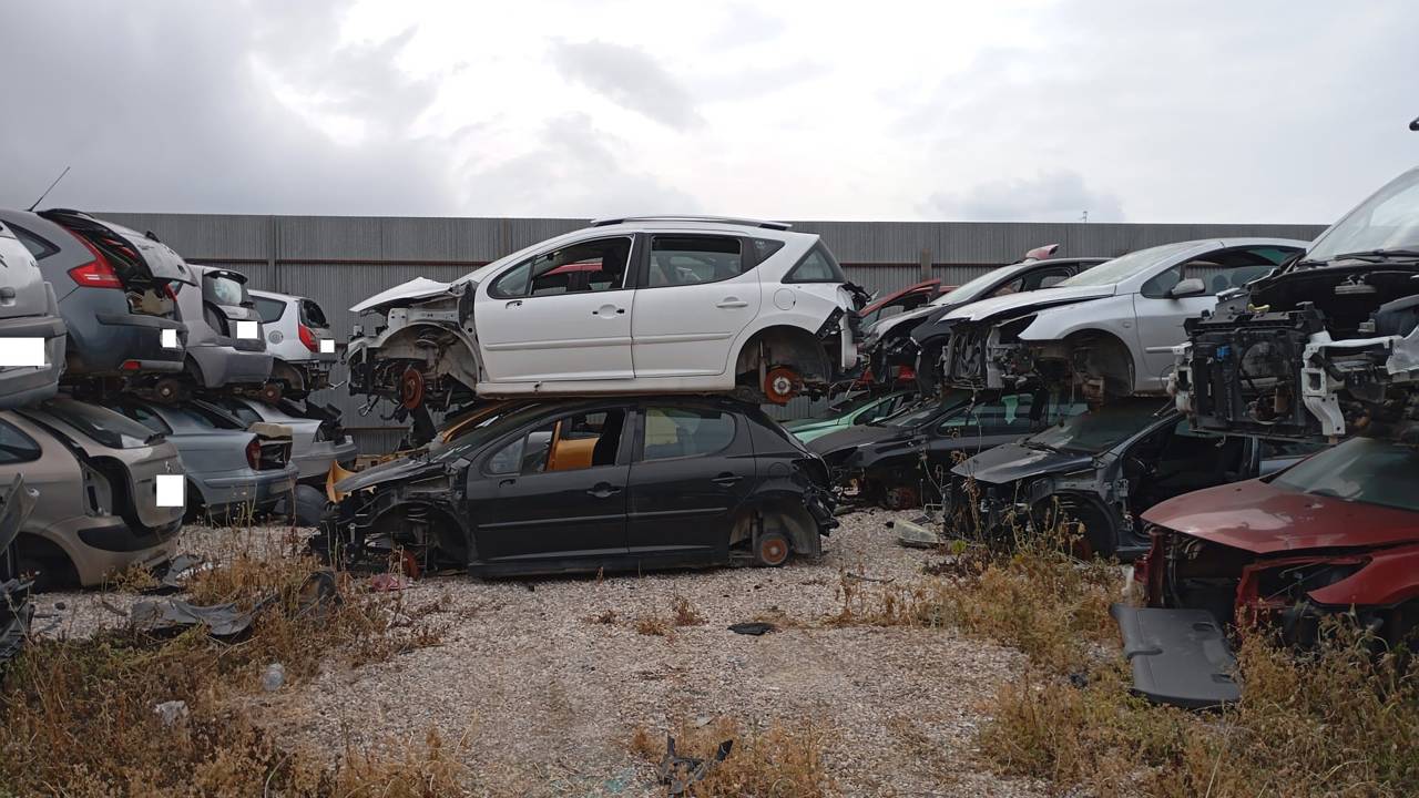 Imagen del vehículo PEUGEOT 207 SW