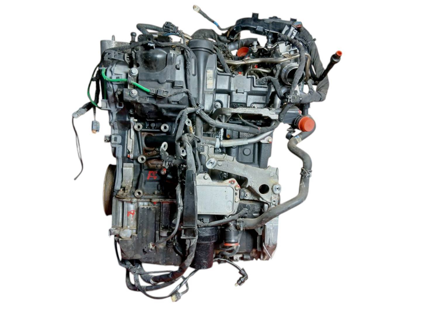 Foto 5 de Motor Completo Renault Kangoo (f/kc0) (2003–2010)