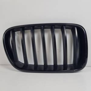 REJILLA DELANTERA 51117210725 BMW SERIE X3 (F25) Autodesguaces Alicante