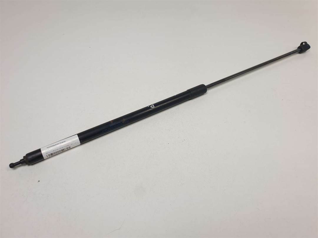 AMORTIGUADORES CAPO - 654710003R - RENAULT - MEGANE III SPORT TOURER