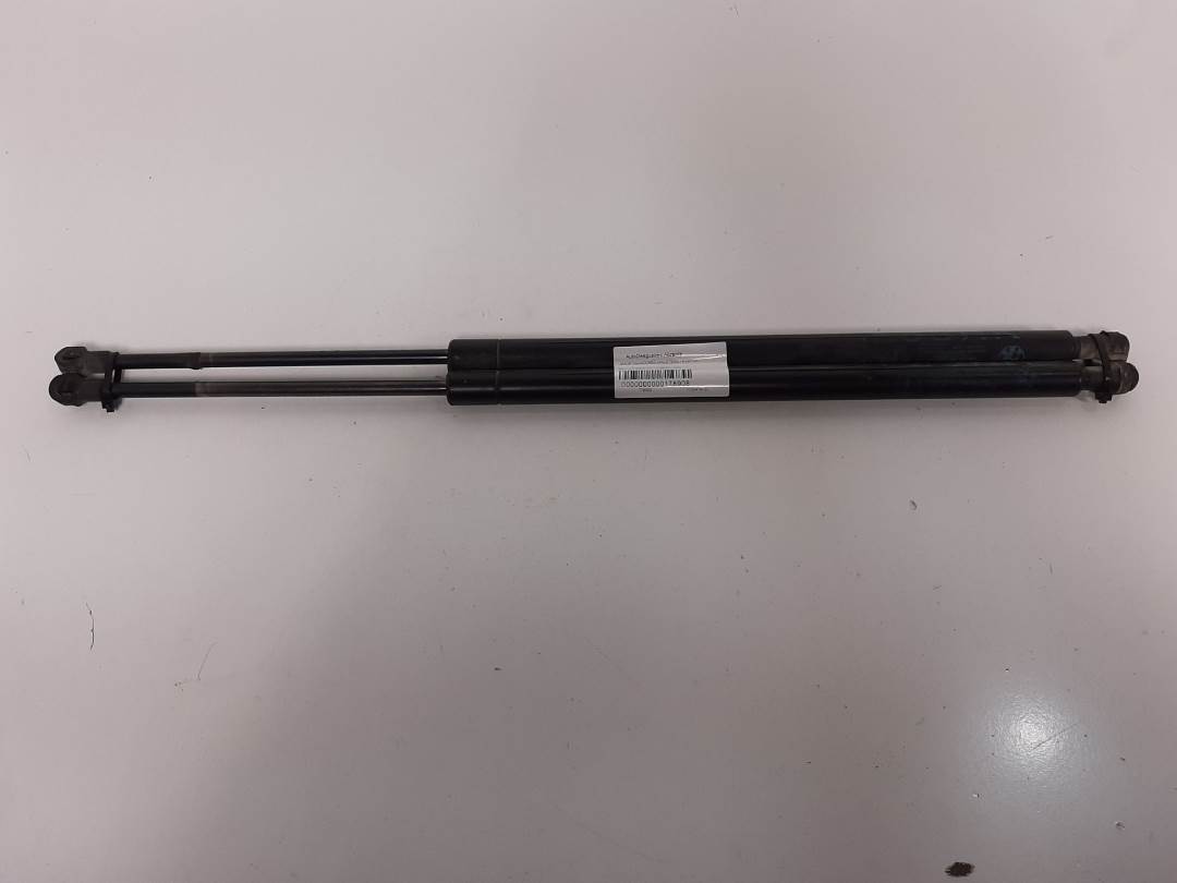 Vérins de hayon - 51248402405 - BMW - X5 (E53)