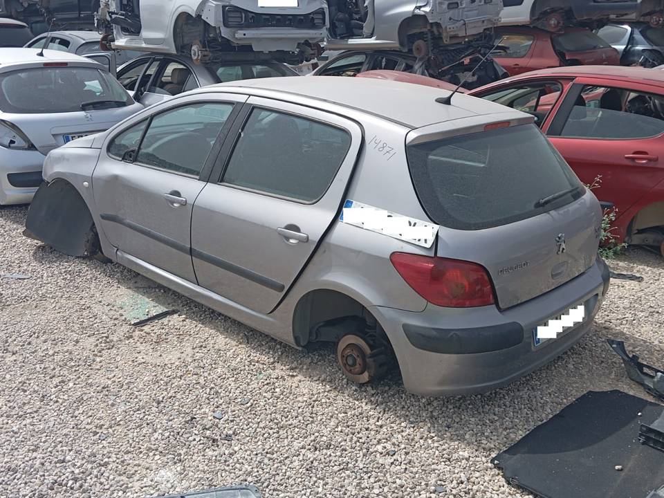 Imagen del vehículo PEUGEOT 307 (S1)