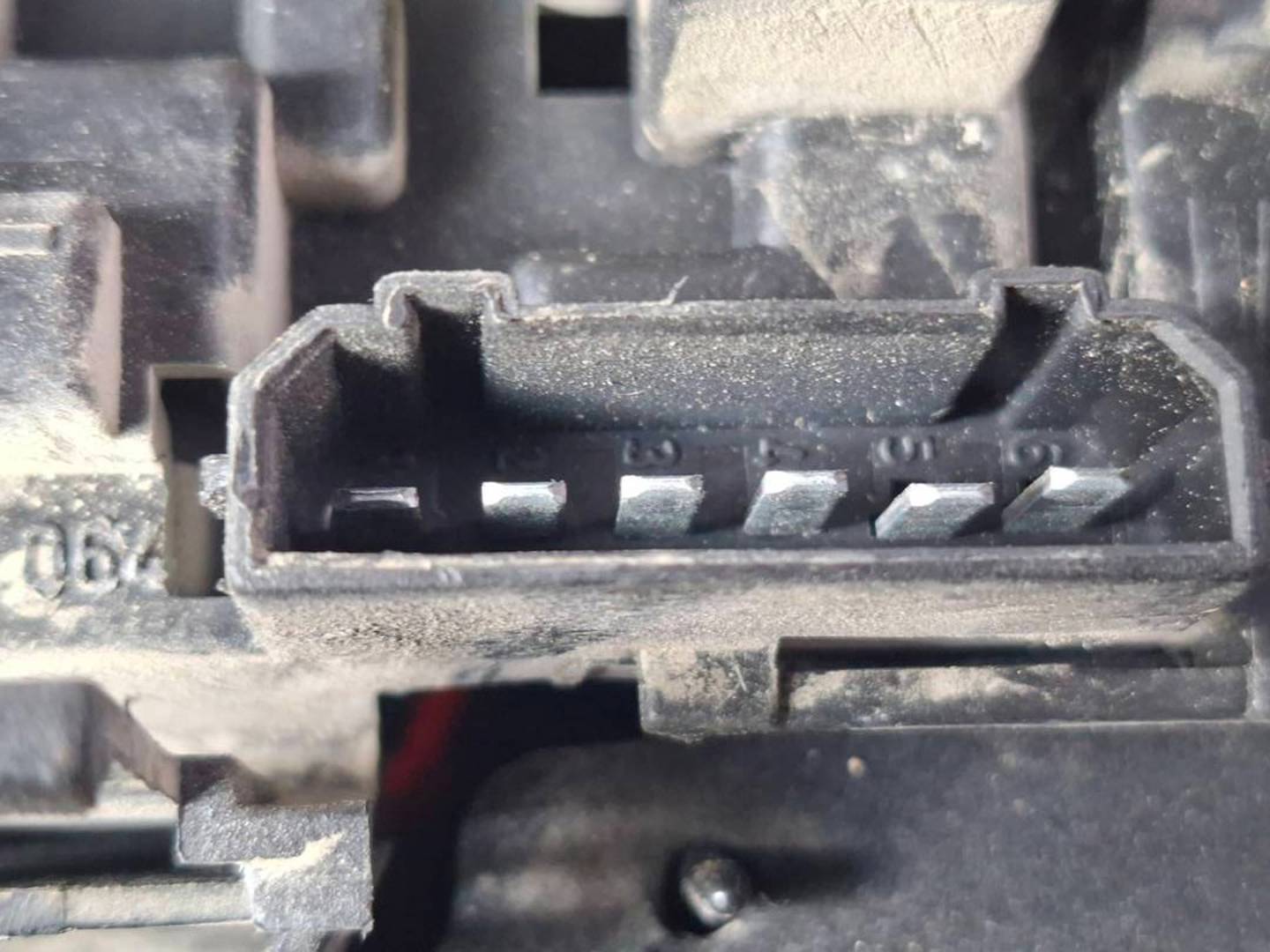 Foto 5 de Piloto Trasero Izquierdo Seat Leon (1m1) (1999–2006)