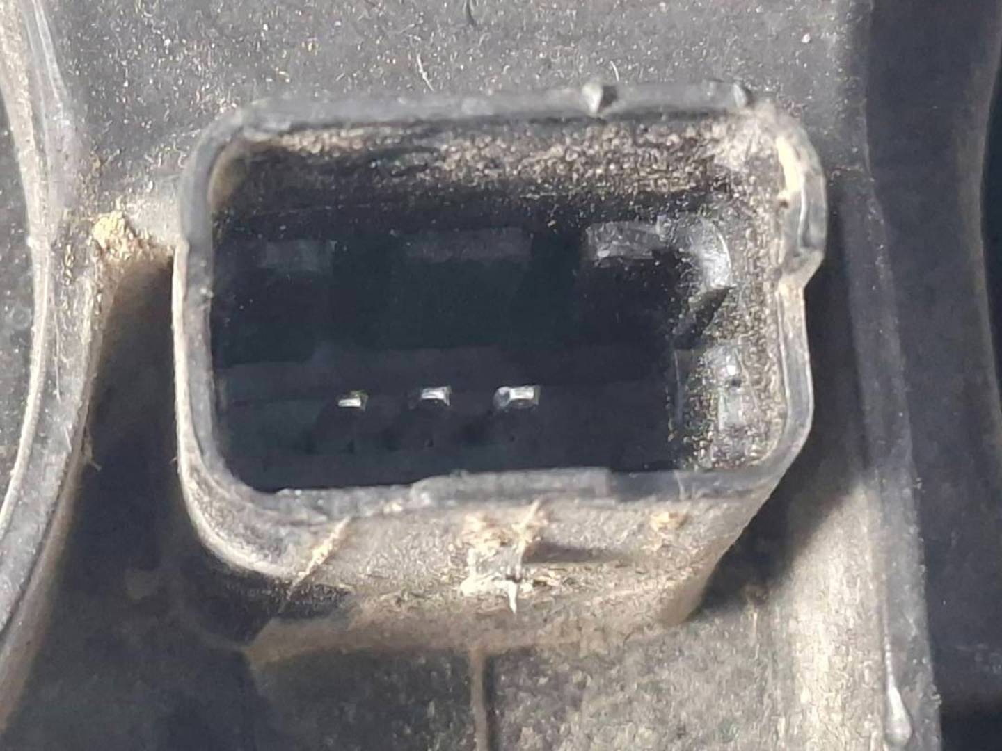 Foto 5 de Piloto Trasero Derecho Renault Megane II Berlina 5P (2002–2009)
