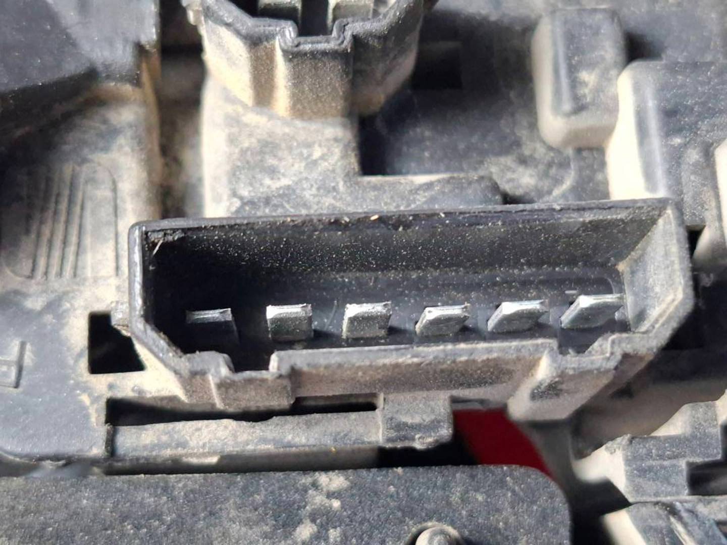 Foto 5 de Piloto Trasero Derecho Seat Leon (1m1) (1999–2006)