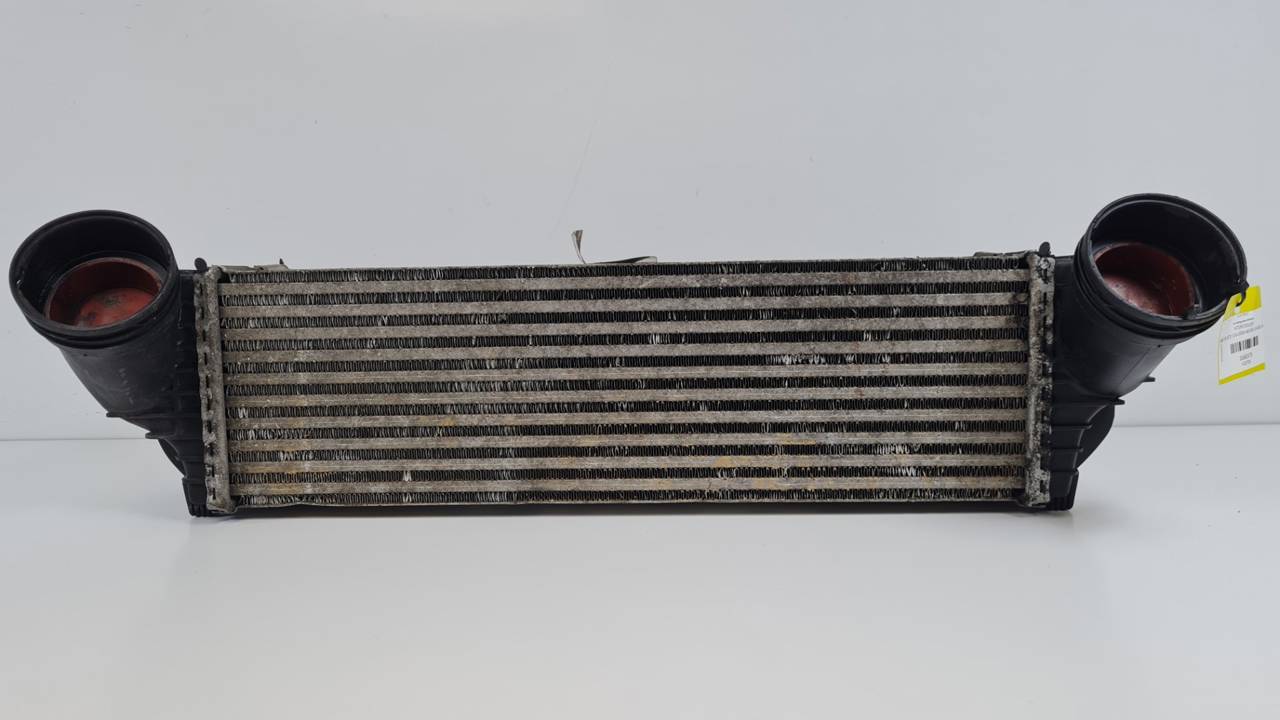 INTERCOOLER 1751780932101 BMW X5 (E70) Autodesguaces Alicante