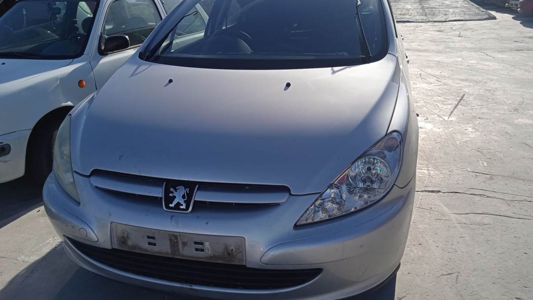 PEUGEOT 307 BREAK / SW (S1) (2002 - 2005)
