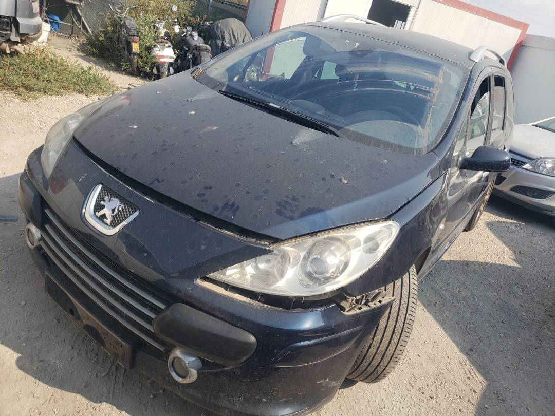 PEUGEOT 307 BREAK/SW (S2) (2005 - 2008)