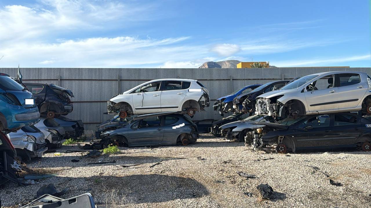 Imagen del vehículo PEUGEOT 207