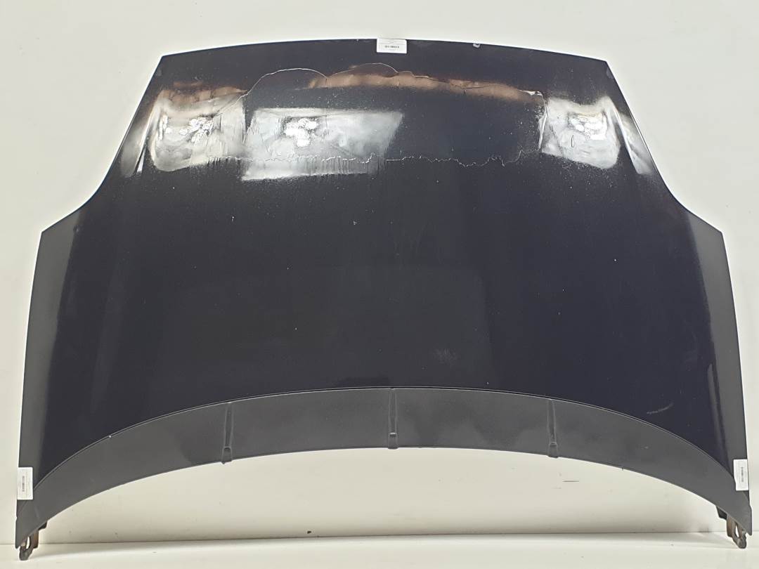 CAPOT - FIAT - GRANDE PUNTO (199)