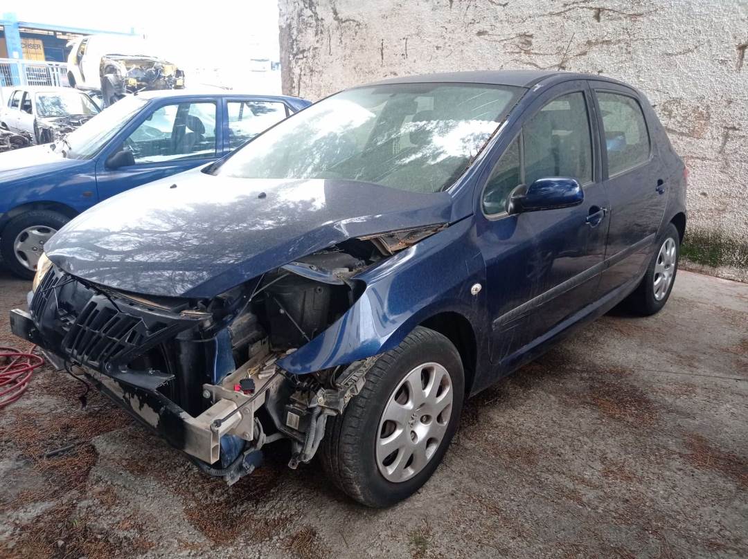 PEUGEOT 307 BERLINA (S2) (2005 - 2008)