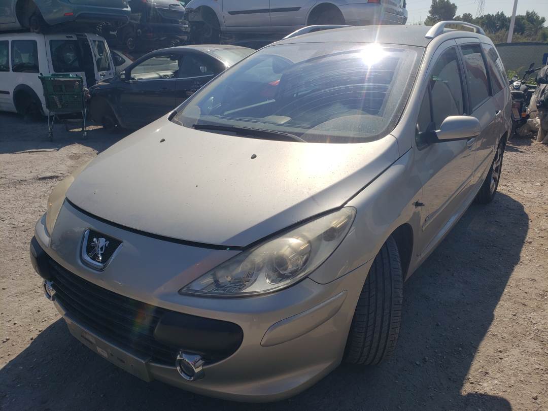 PEUGEOT 307 BREAK/SW (S2) (2005 - 2008)