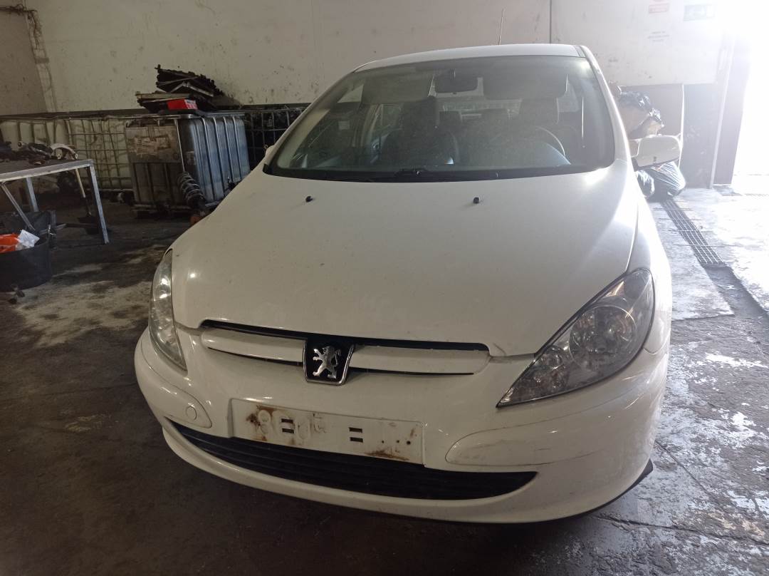 PEUGEOT 307 (S1) (2001 - 2005)