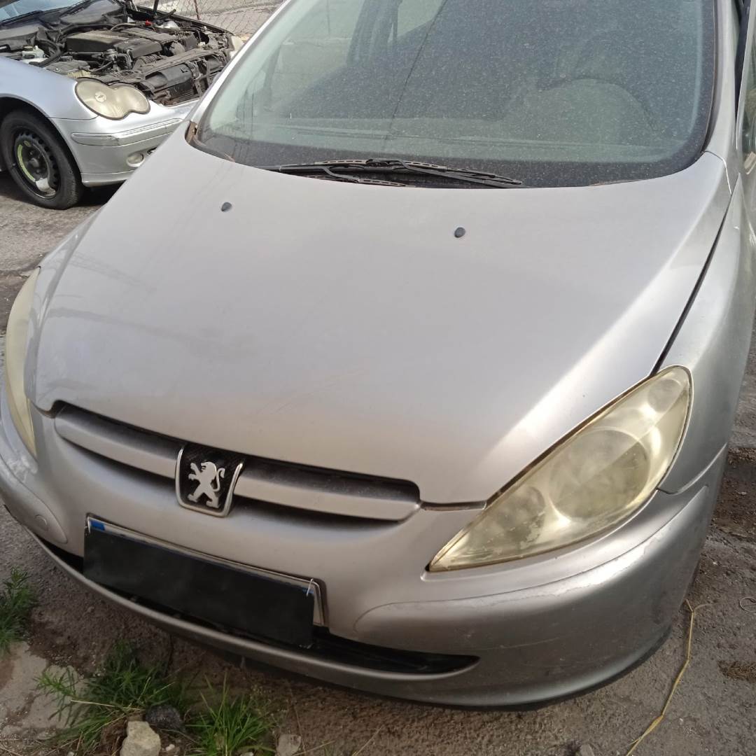 PEUGEOT 307 (S1) (2001 - 2005)